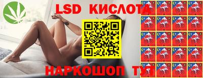 соль ск Новокубанск
